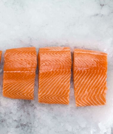 Fresh salmon portions on ice