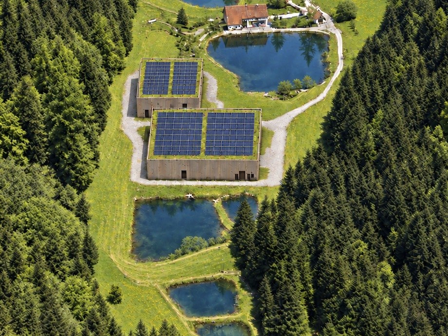 Aerial view of the farm looking down the Griestal valley