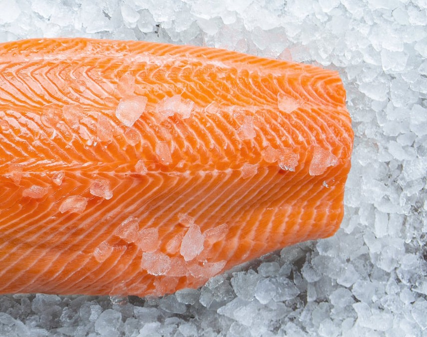 A fresh salmon fillet